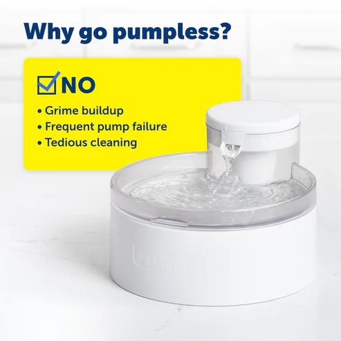 PetSafe Outlast 3.7L Pumpless Pet Fountain