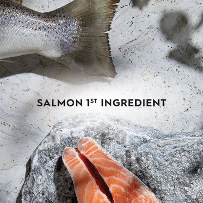 Trilogy Adult Australian Salmon + Freeze Dried New Zealand Lamb Dry Cat Food