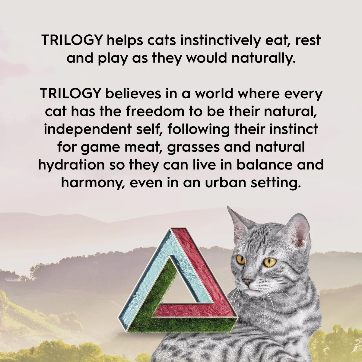 Trilogy Adult Australian Beef + Freeze Dried Lamb Dry Cat Food