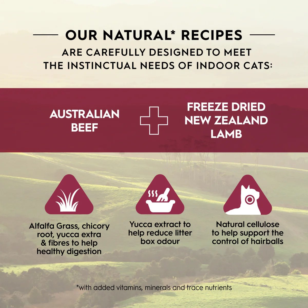 Trilogy Adult Australian Beef + Freeze Dried Lamb Dry Cat Food