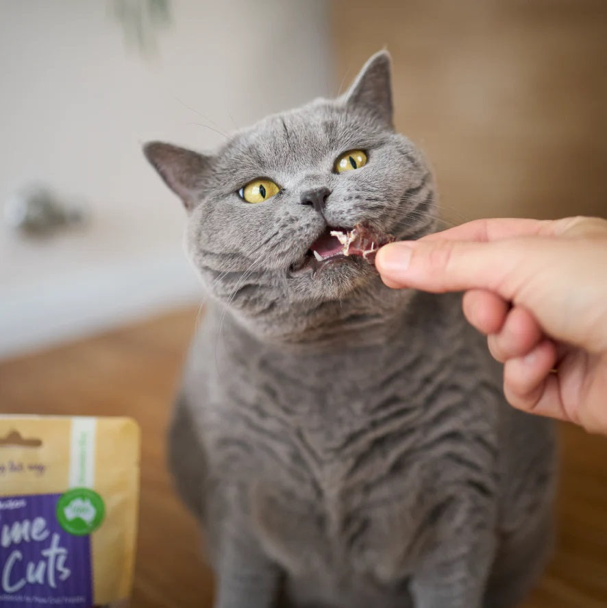 Kazoo Prime Cuts Cats Kangaroo Hearts 60g