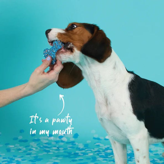 Kazoo Dog Bone Biscuit Blue