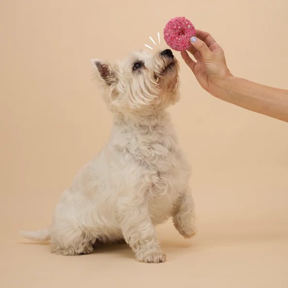 Kazoo Dog Donut Biscuit Pink