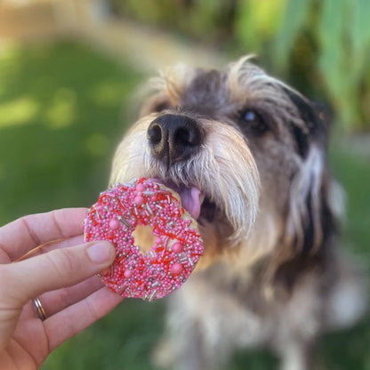 Kazoo Dog Donut Biscuit Pink