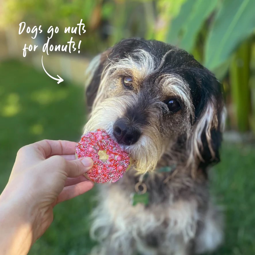 Kazoo Dog Donut Biscuit Pink