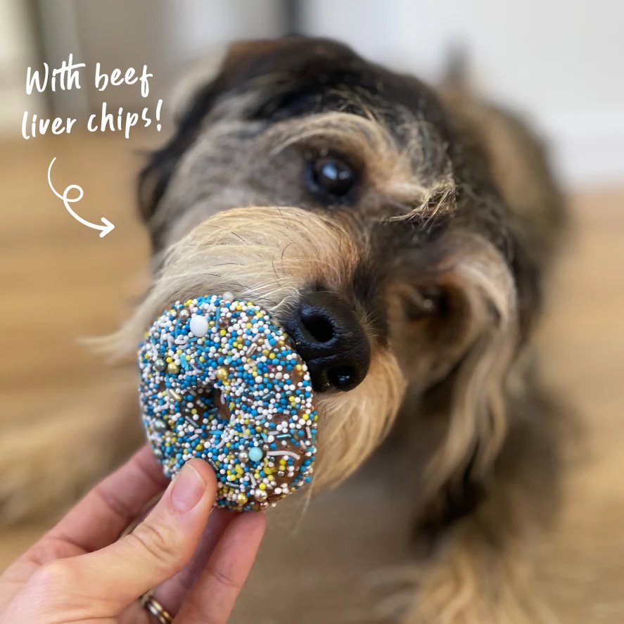 Kazoo Dog Donut Biscuit Blue