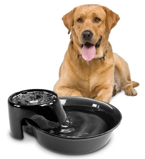 Pioneer Pet Big Max Ceramic Drinking Fountain 3.7L