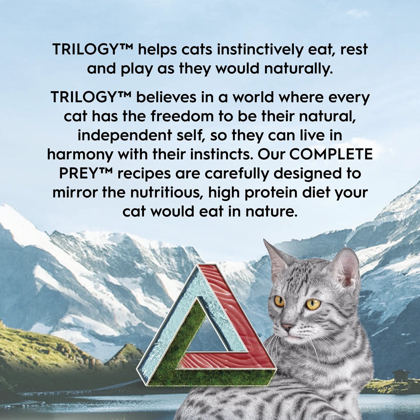 Trilogy Complete Prey Pâté Wild Alaskan Salmon Wet Cat Food