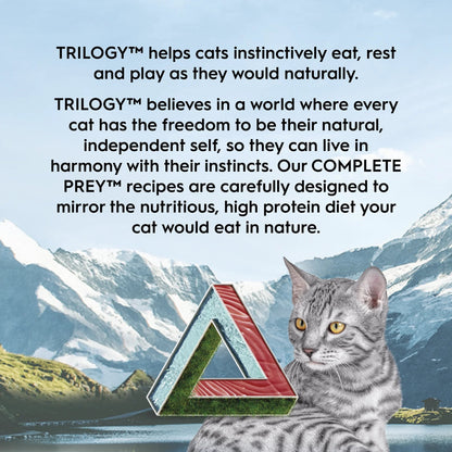 Trilogy Complete Prey Pâté Wild Alaskan Salmon Wet Cat Food