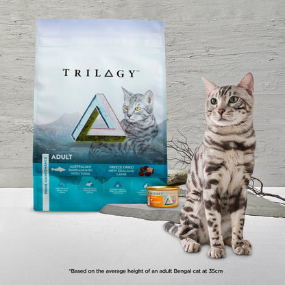 Trilogy Complete Prey Pâté Wild Alaskan Salmon Wet Cat Food
