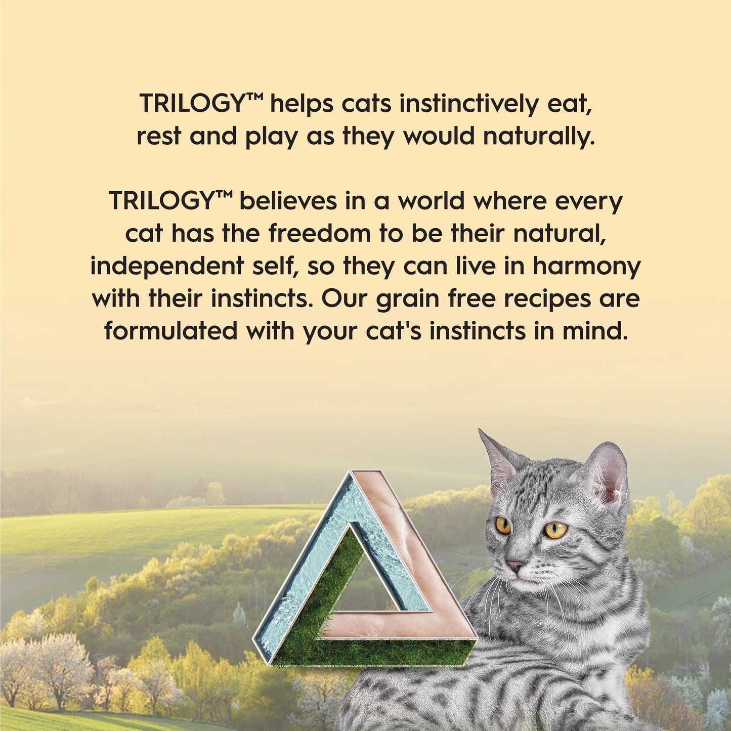 Trilogy Adult Farm Raised Chicken in Bone Broth Wet Cat Food