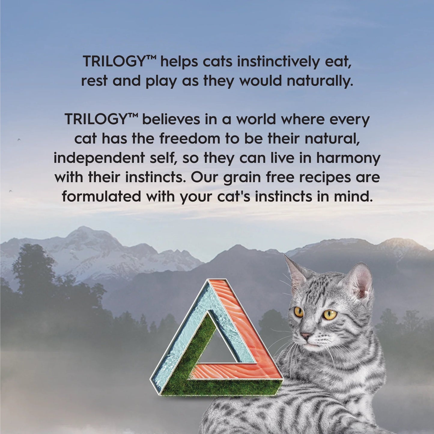 Trilogy Wild Caught Alaskan Salmon in Rich Bone Broth Wet Cat Food