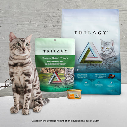 Trilogy Wild Caught Alaskan Salmon in Rich Bone Broth Wet Cat Food