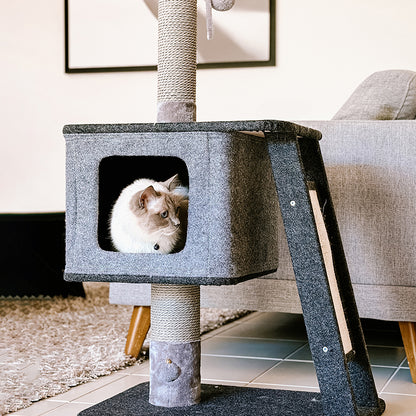 Cattitude Scratch Playground Ramp Up