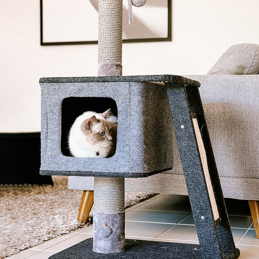 Cattitude Scratch Playground Ramp Up