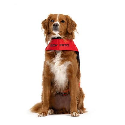 EzyDog DFD X2 Boost Life Jacket - Pink
