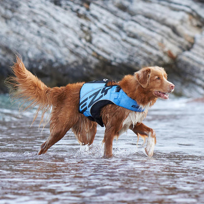 EzyDog DFD X2 Boost Life Jacket - Pink