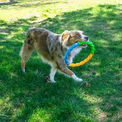 KONG High-Viz Twistz Ring