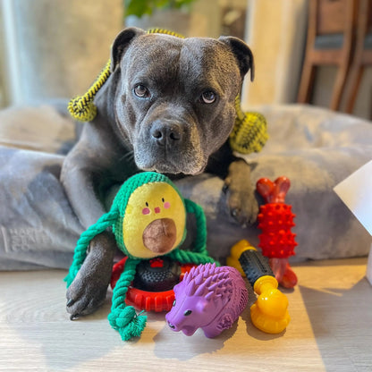 Happy Staffy Co. Power Chew Phone