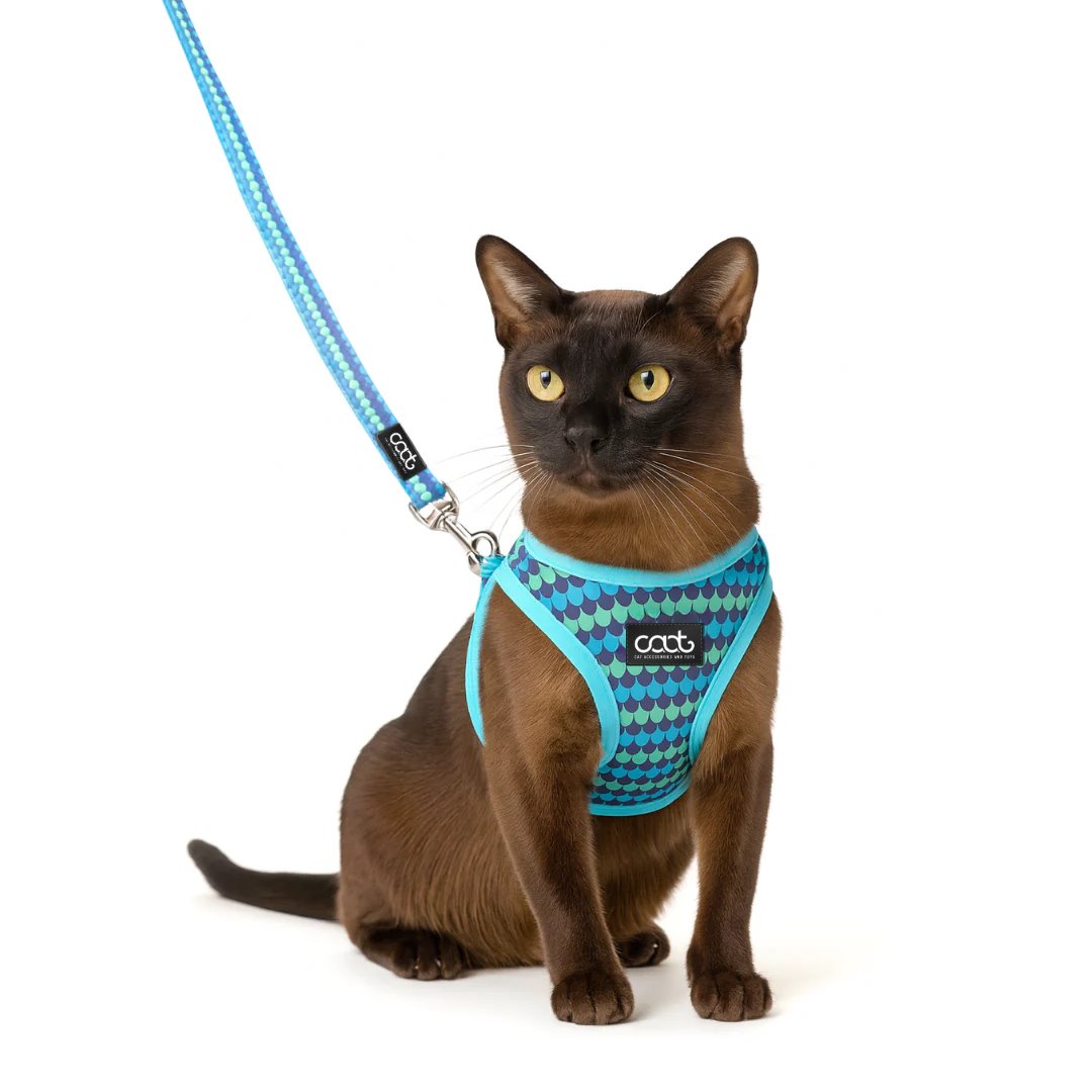 DOOG CAAT Cat Harness & Leash Combo Pluto