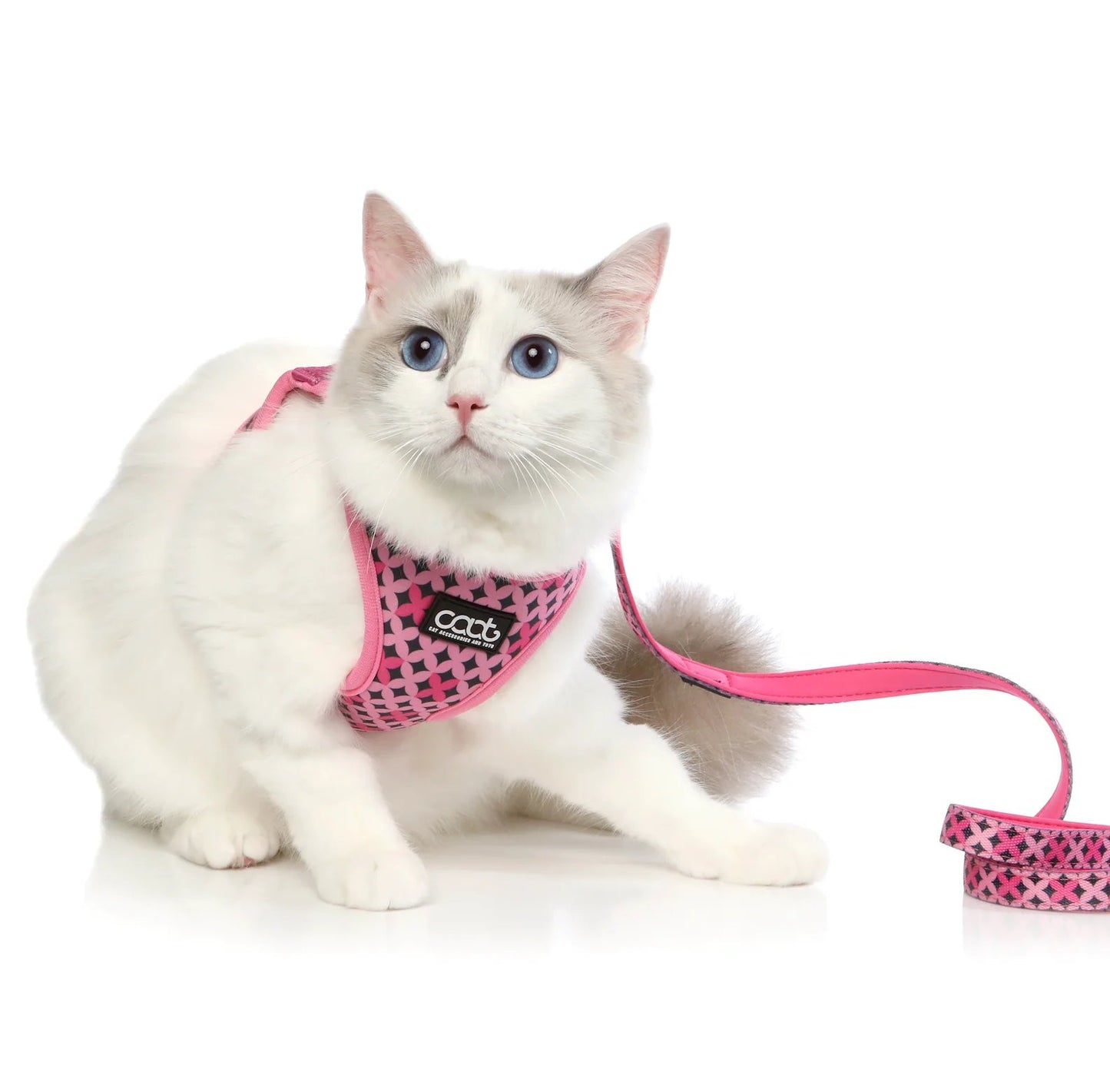DOOG CAAT Cat Harness & Leash Combo Toto