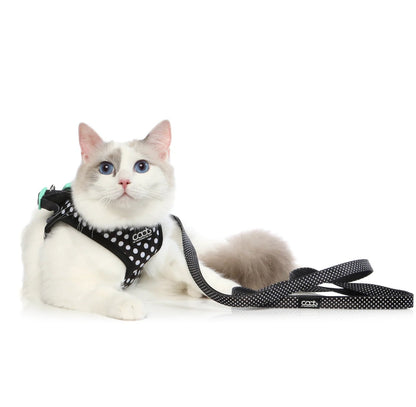 DOOG CAAT Cat Harness & Leash Combo Pongo