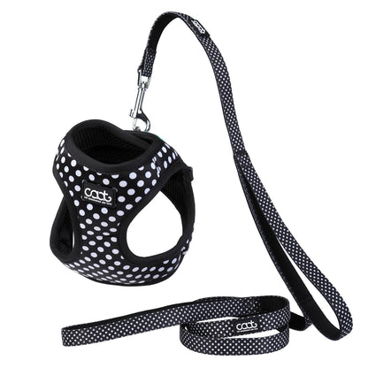 DOOG CAAT Cat Harness & Leash Combo Pongo