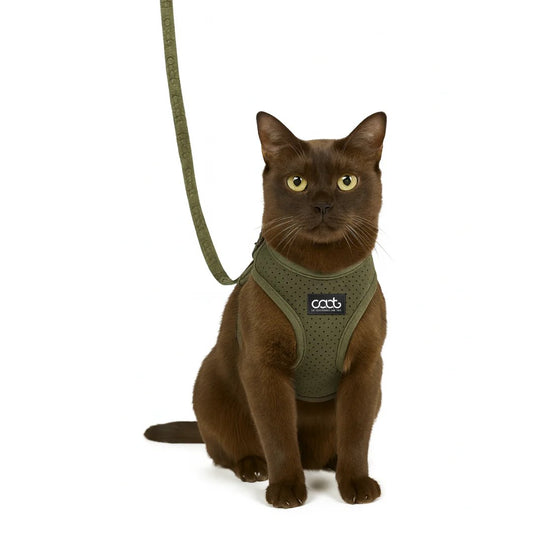 DOOG CAAT Cat Harness & Leash Combo Green