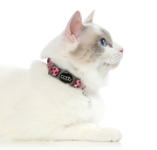 DOOG CAAT Quick Release Cat Collar Toto