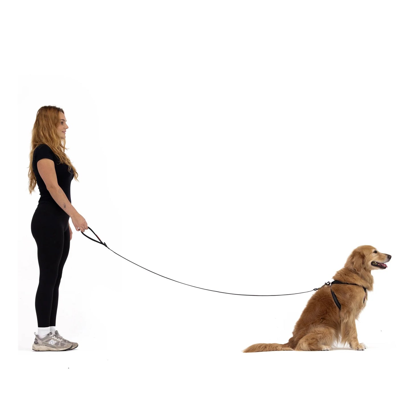 EzyDog Essential Adjustable Leash Black