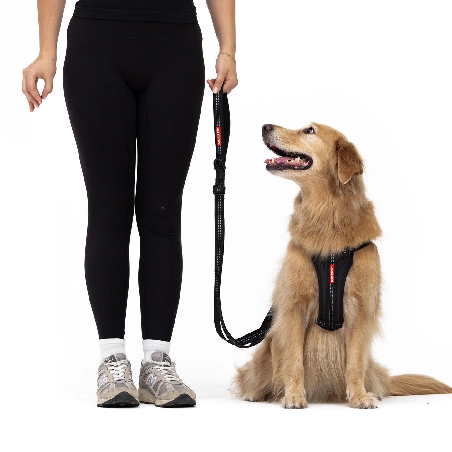 EzyDog Essential Adjustable Leash Red