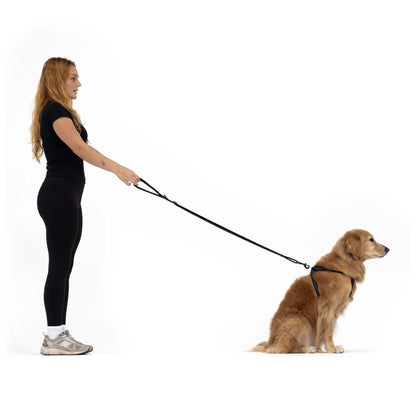 EzyDog Essential Adjustable Leash Red
