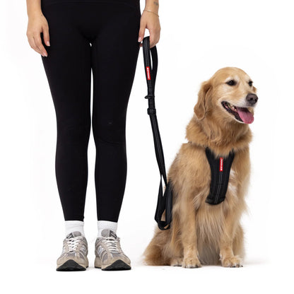 EzyDog Essential Adjustable Leash Pink