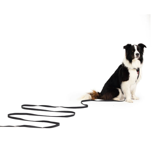 EzyDog Track N Train 3 Meter Recall Leash
