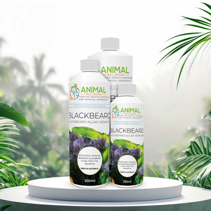 Animal Wellbeing Blackbeard Remover