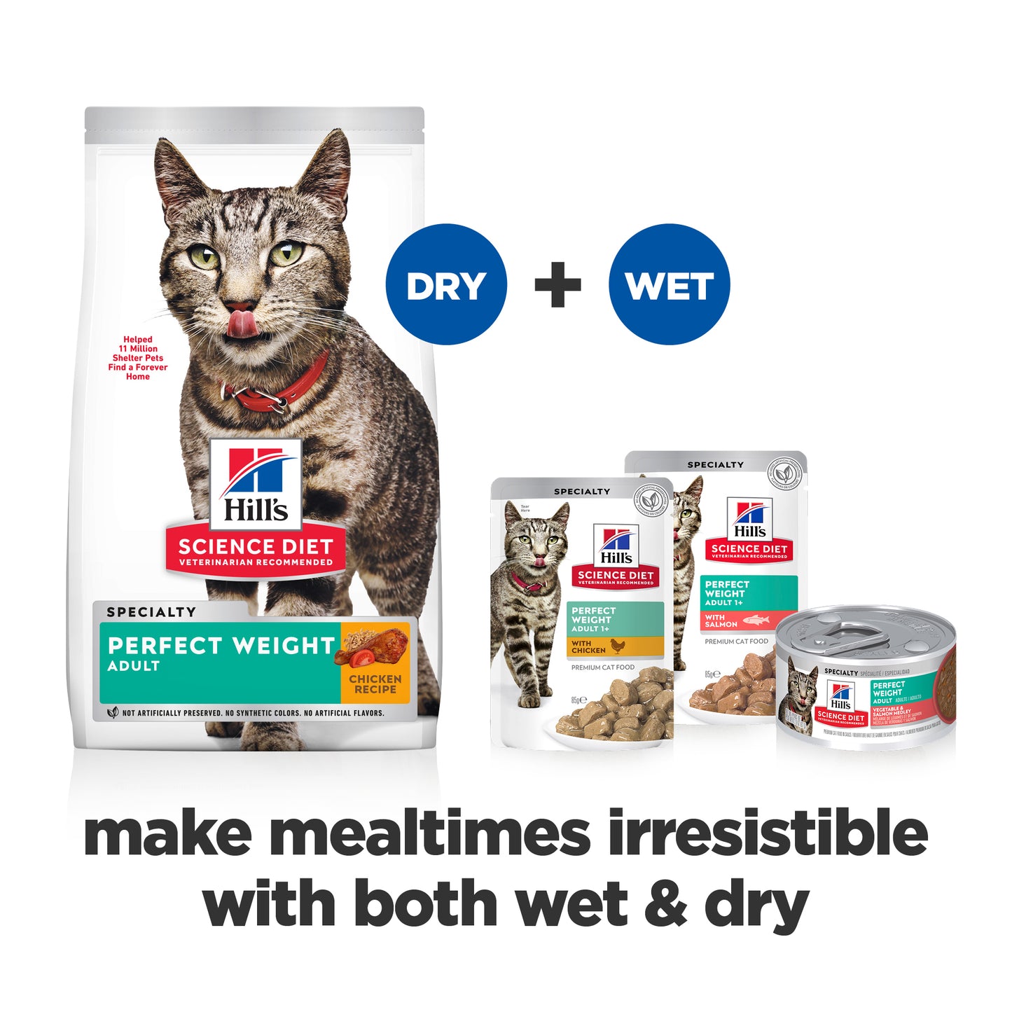 Hill's Science Diet Perfect Weight Vegetable & Salmon Medley Canned Wet Cat Food