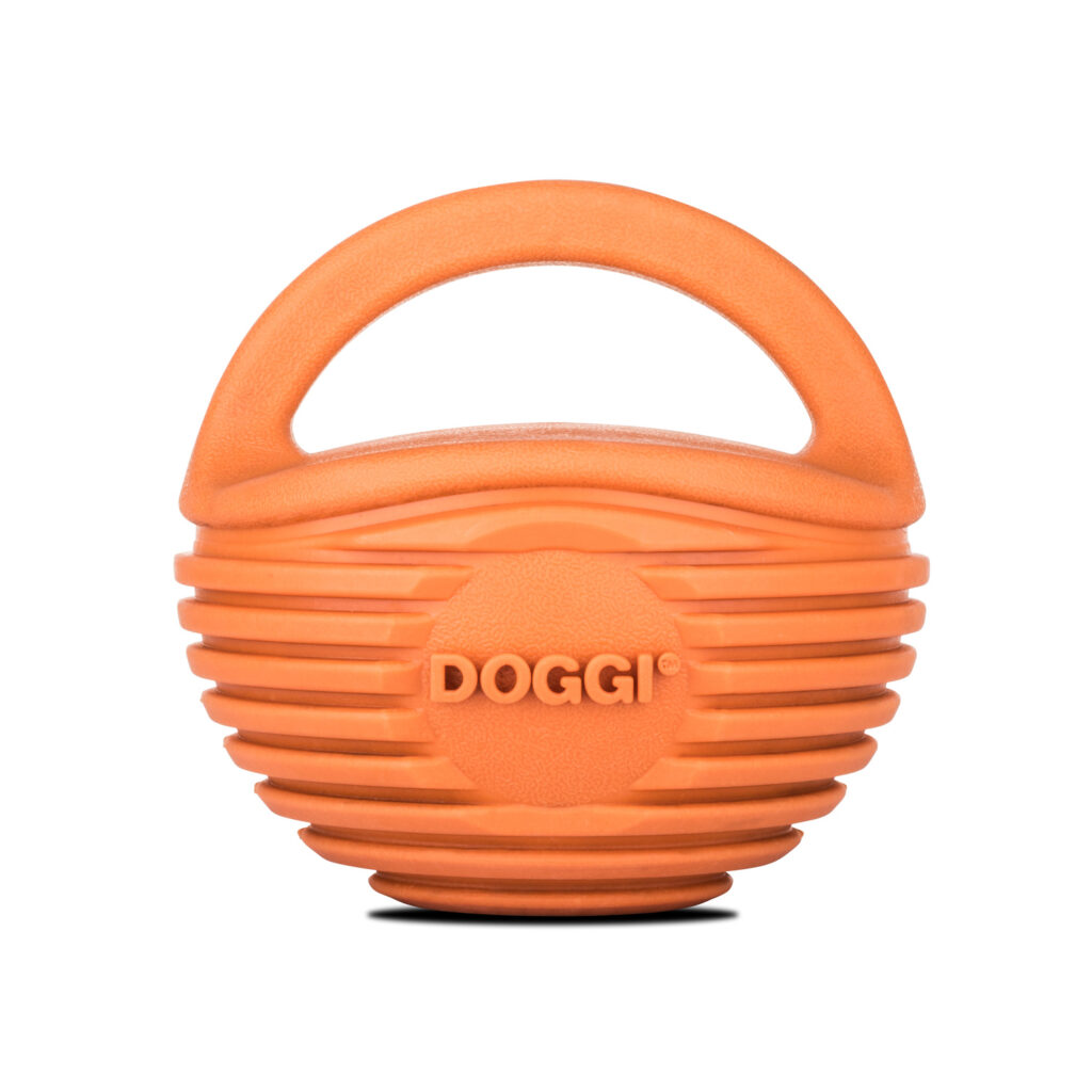 Doggi Catch and Carry Ball