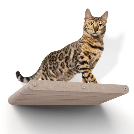 Pryde Oatmeal Long Lounger Cat Climber