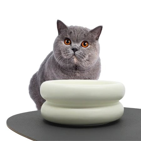Pryde Ceramic Dining Bowl Elevated