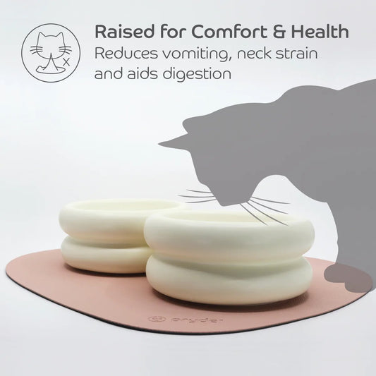 Pryde Ceramic Dining Bowl Elevated