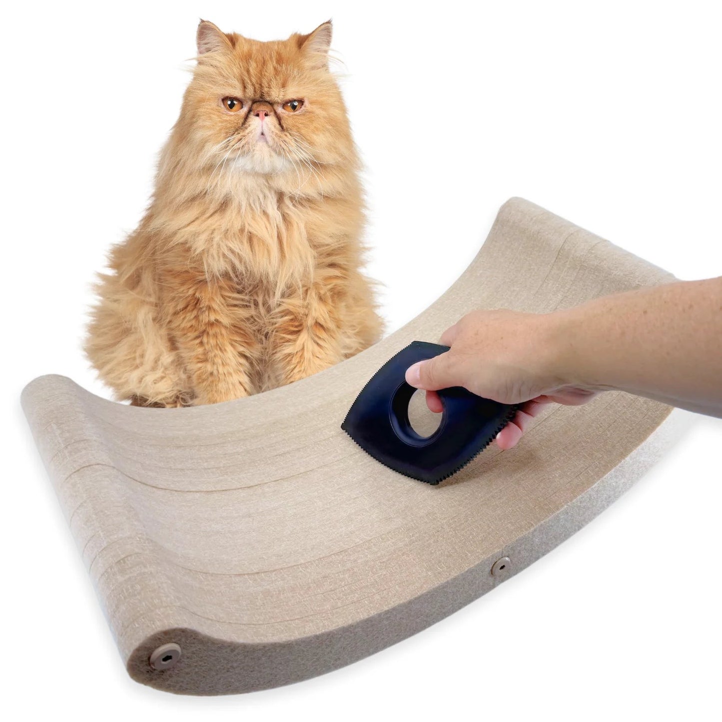 Pryde The Fur-nomenal Fur Remover
