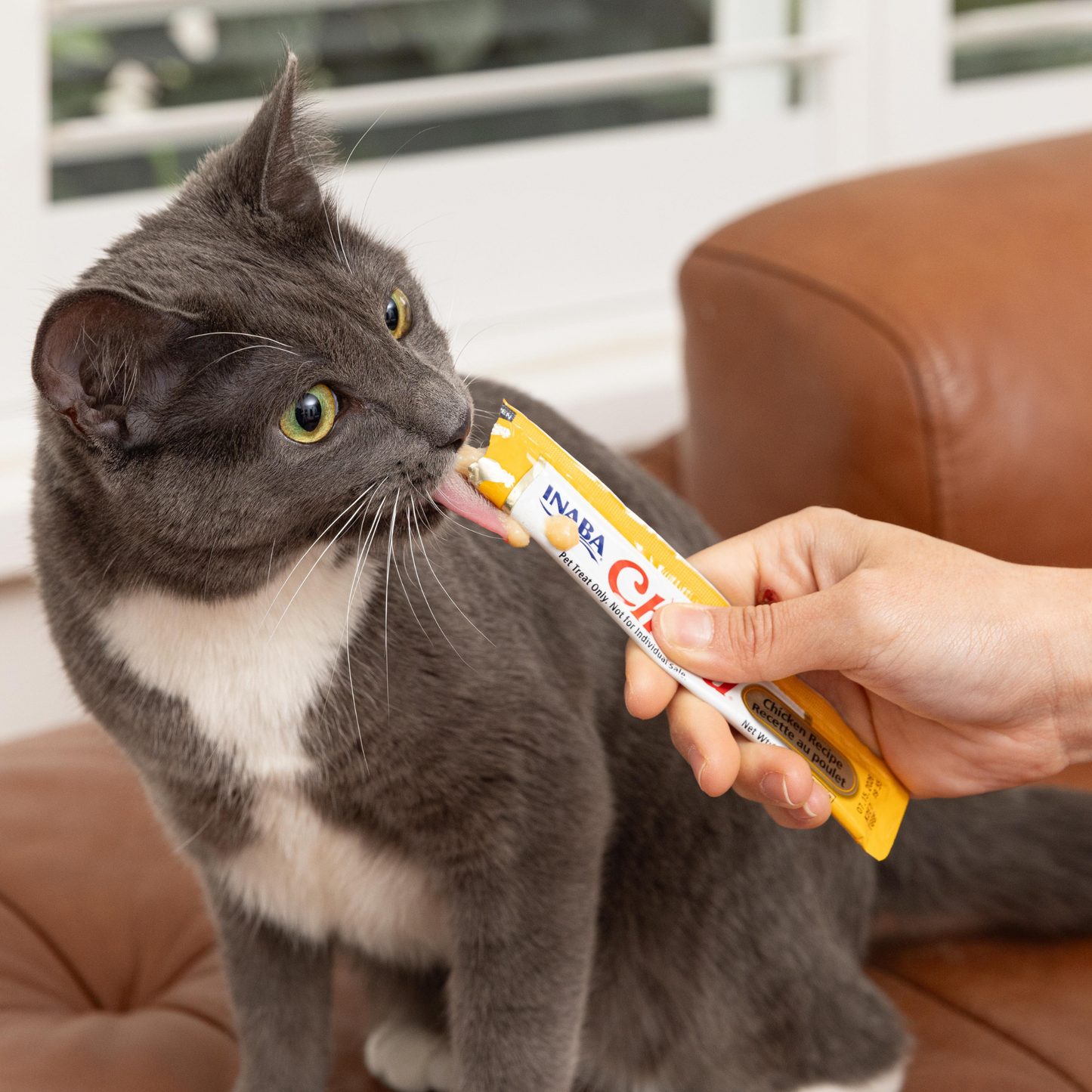 Inaba Churu Puree Chicken Recipe Cat Treat 56g