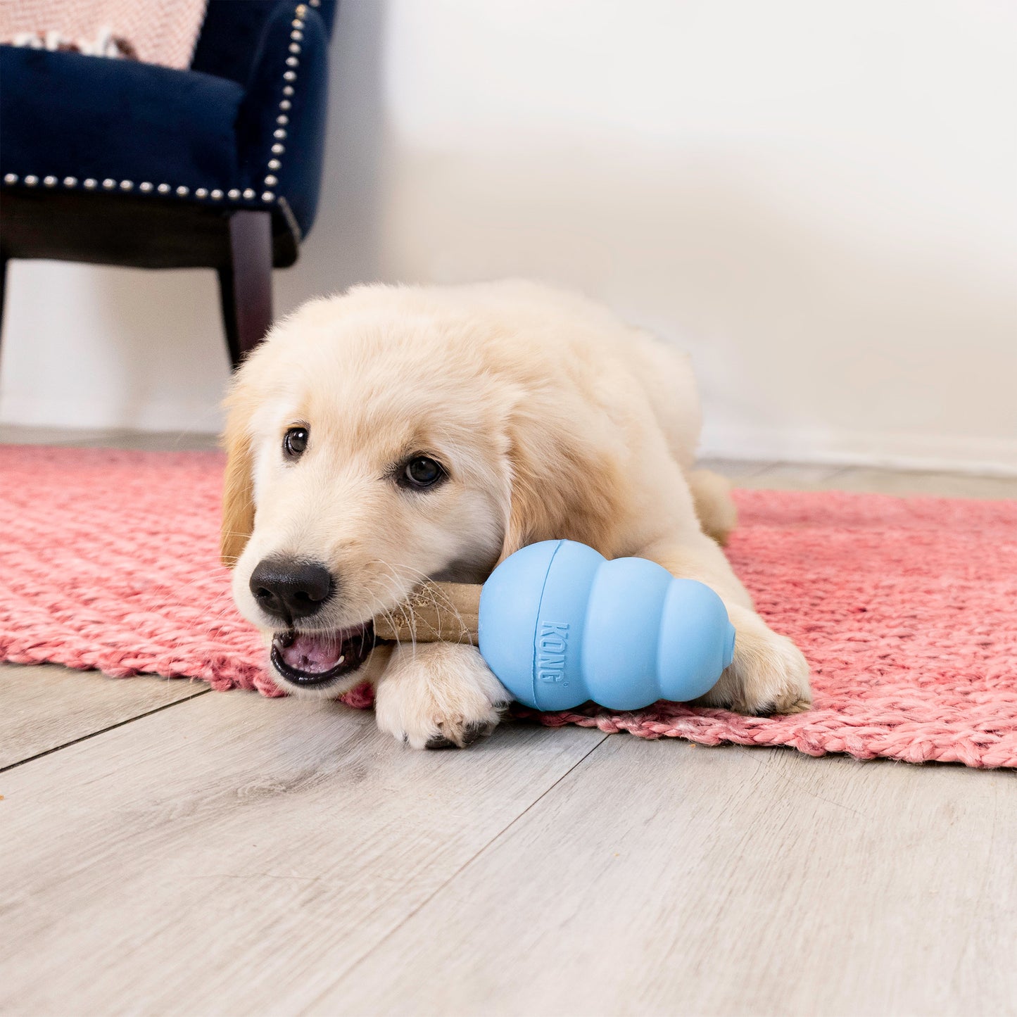 KONG Ziggies Enhanced Puppy Med/Lge 227g