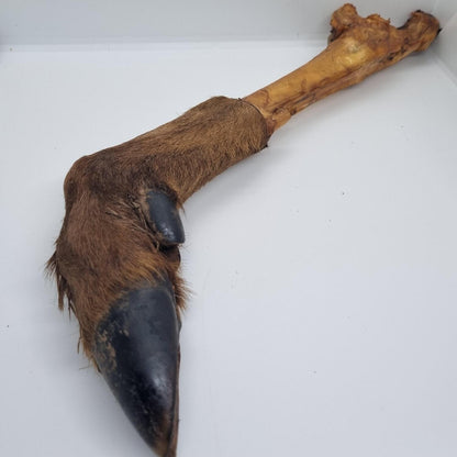 The Pawfect Butcher Deer Trotter