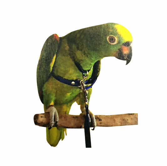 Beak A Boo Two-Way Bird Harness & Lead X-Large
