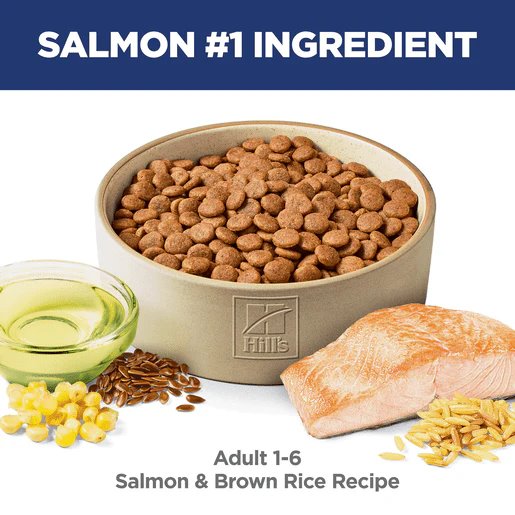 Hill's Science Diet Adult Salmon & Brown Rice Dry Dog Food