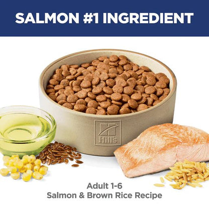 Hill's Science Diet Adult Salmon & Brown Rice Dry Dog Food