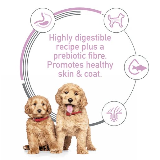 Hill's Science Diet Puppy Sensitive Stomach and Skin Salmon Vegetables Canned Dog Food