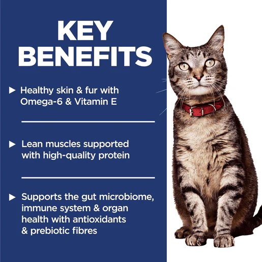 Hill's Science Diet Adult Salmon & Brown Rice Dry Cat Food