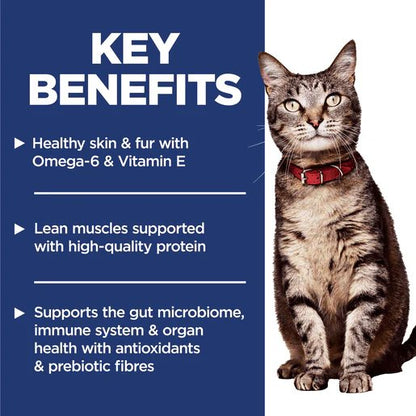 Hill's Science Diet Adult Salmon & Brown Rice Dry Cat Food